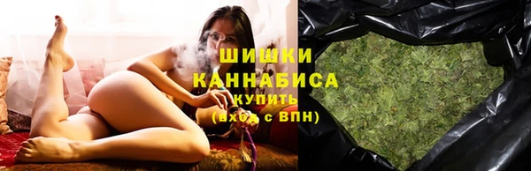 крисы Козловка