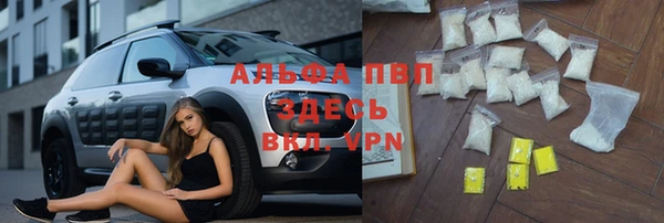 крисы Козловка