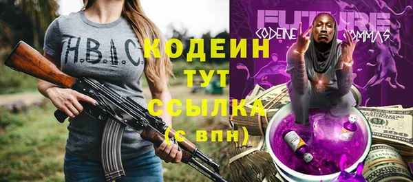 крисы Козловка
