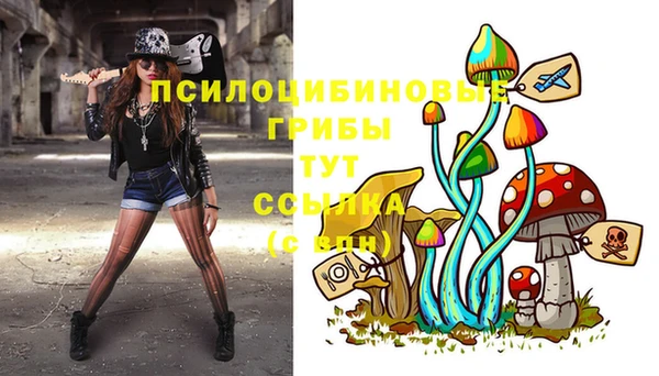 бошки Кодинск
