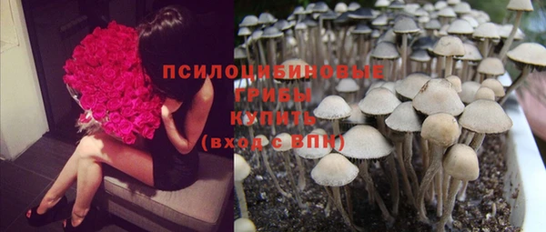 мяу мяу кристалл Бугульма