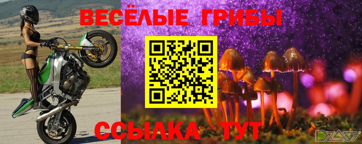 Галлюциногенные грибы Magic Shrooms  купить закладку  Электросталь  Вход с VPN 