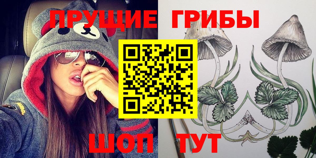 Псилоцибиновые грибы мицелий Электросталь